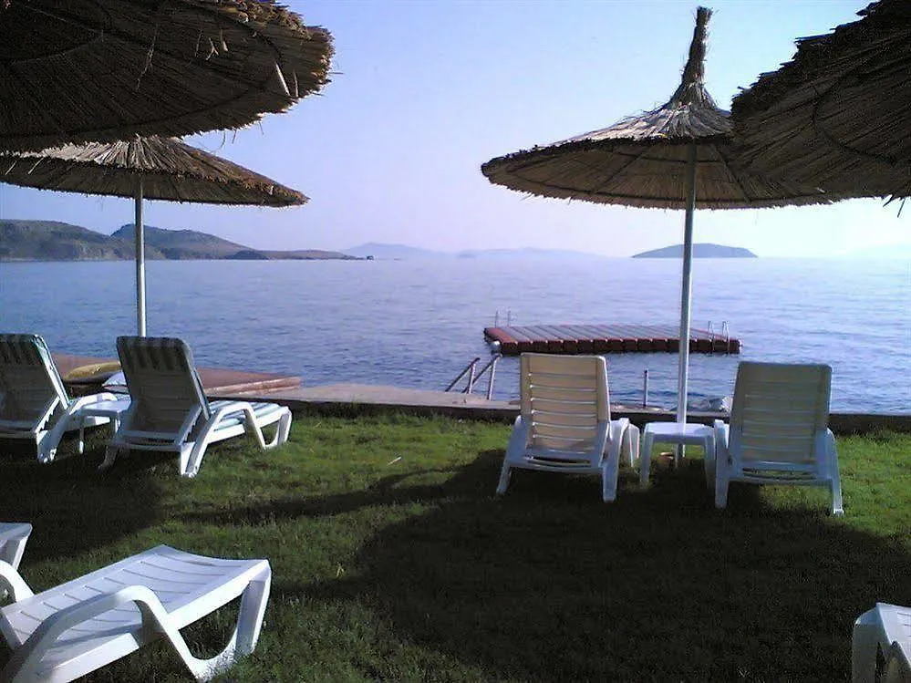 Arion Resort Hotel Gümüşlük Turcja