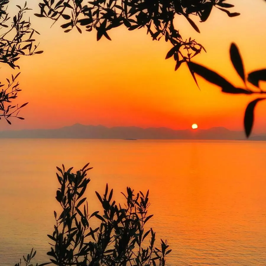 Arion Resort Hotel Gümüşlük