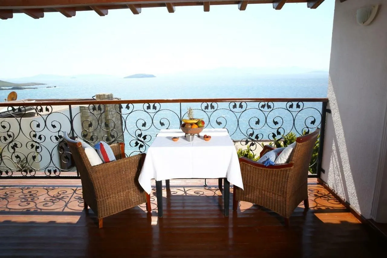 Arion Resort Hotel Gümüşlük 3*,