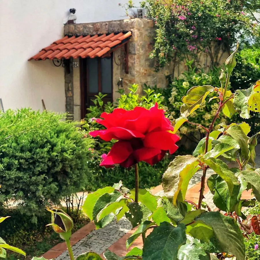 Arion Resort Hotel Gümüşlük