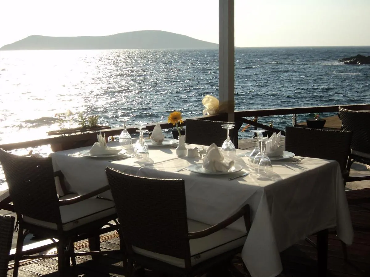 Arion Resort Hotel Gümüşlük 3*,  Turcja